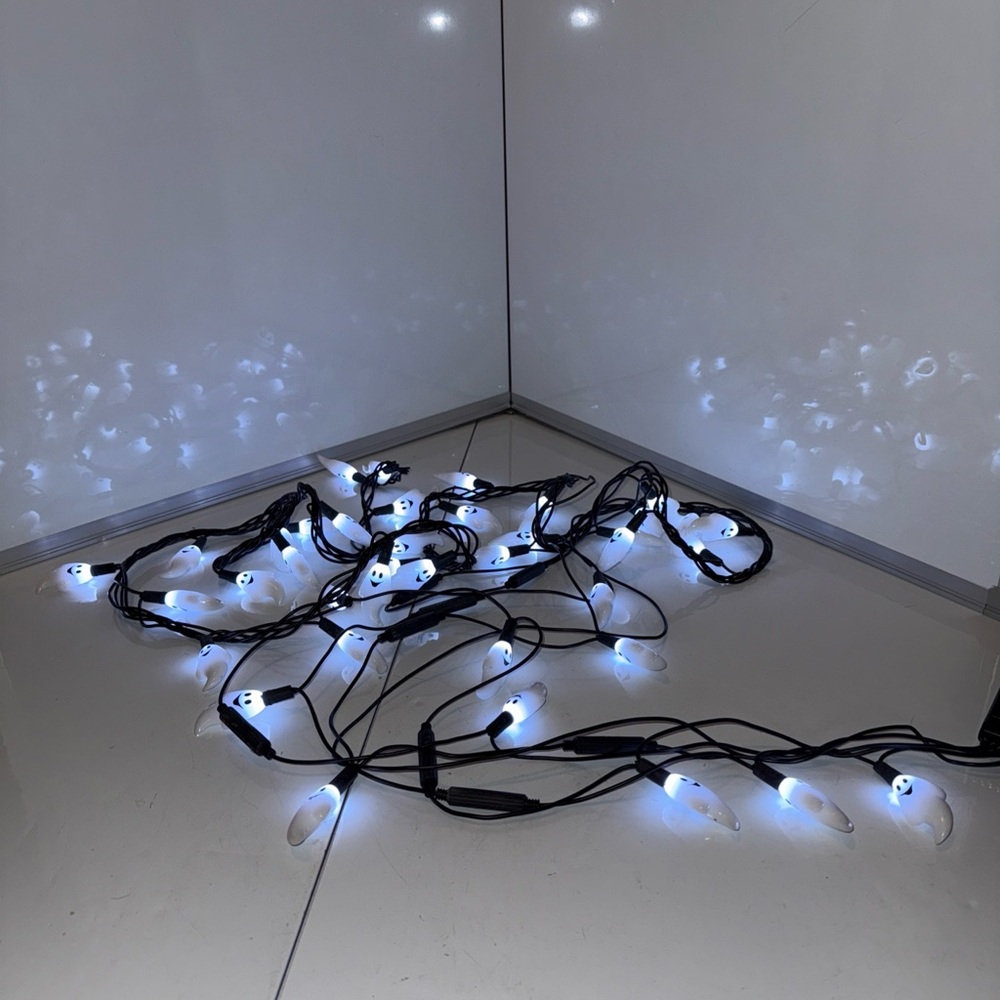 Member's Mark 16 Function LED Ghost Lights 40 Light Strand Indoor/Outdoor Works